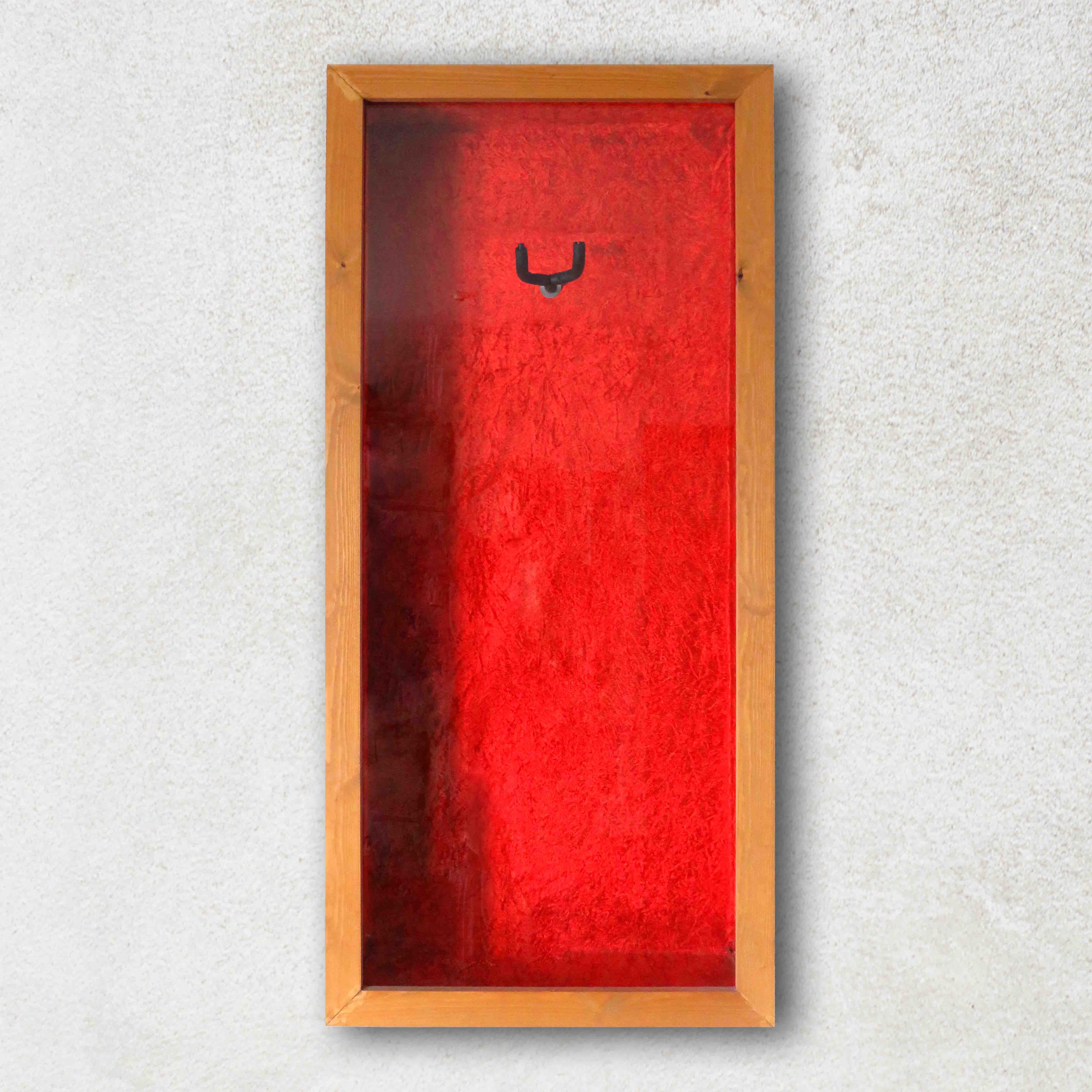 Gitarren-Vitrine
